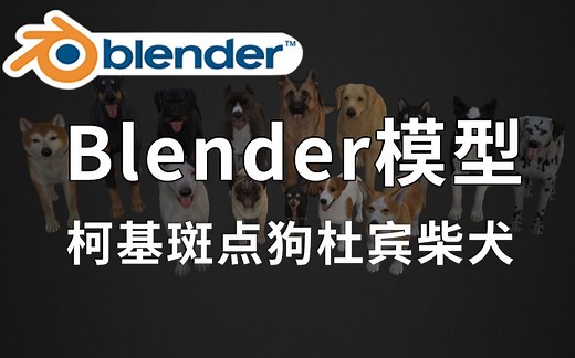 精品Blender宠物狗狗模型，包括柯基、斑点狗、杜宾柴犬、哈士奇、拉布拉多、斗牛犬等，资源十分不错，值得收藏起来吃灰！