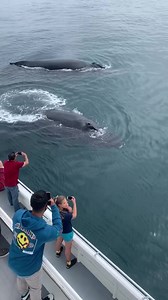 22M views · 10K reactions | TRIPLE MUGGING!! What a day to be on the...