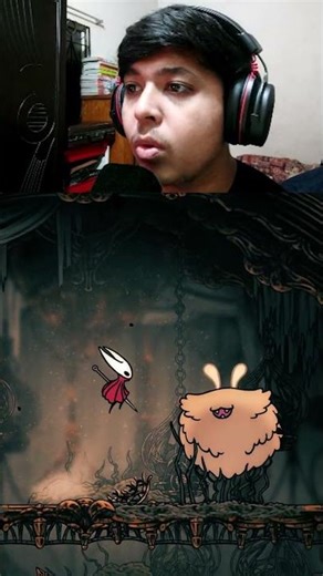 This fluffy bug is so big