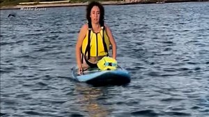 Video Close encounter with Great White shark caught on camera