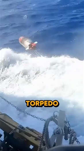 This Torpedo can fly #shorts