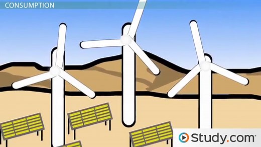 Sustainable Consumption | Definition, Background & Goals