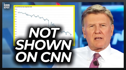 7.1K views · 130 reactions | Host Shares Ignored Detail That Mainstream Media Intentionally Ignores | The Rubin Report | Facebook