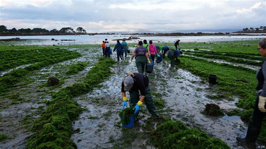 The women in Spain fighting for their existence