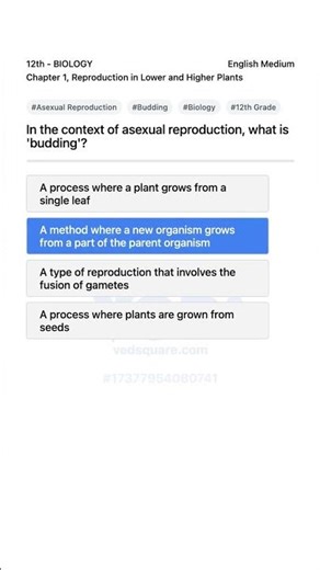 Understanding Budding in Asexual Reproduction Biology 12th