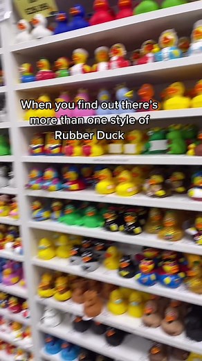 What if I told you we had way over 100 different types?!? #rubberduck #duck #duckshop #ducks #fyp #MakeItCinematic #StartUpShowUp
