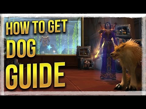 WoW Legion: How to Bring Dog to Dalaran With a Pebble - Legion Secrets