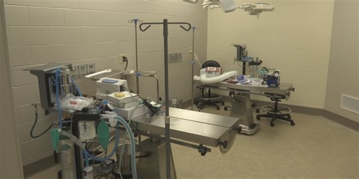 Surgical center in the works for Saginaw Co. animal control