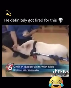 8.3M views · 126K reactions | Yep, we couldn’t do it either | Magic 102.5 The Golden Triangle's Big Station | Facebook