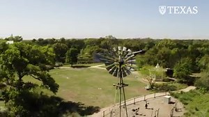 Since we can’t be there in person, we’re bringing the Lady Bird Johnson Wildflower Center to you. Sit back, relax and enjoy: | The University of Texas at Austin