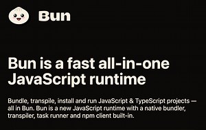 A New Javascript Runtime Fresh Out Of The Oven