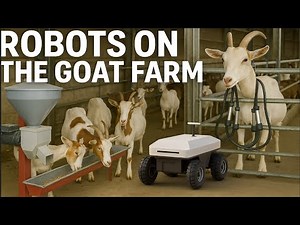 Robot Farmers: Automatic Feeders & Milkers for Goats
