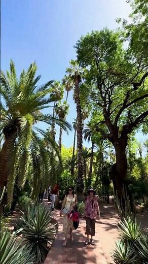 Strolling through the magical blues of Majorelle Gardens 💙🌿 Marrakech never looked this dreamy.
