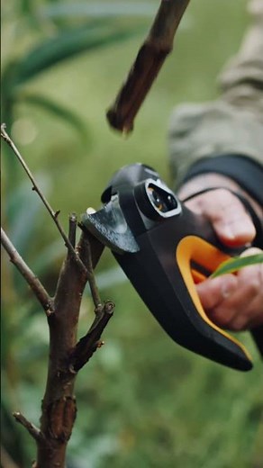Fiskars Power Tools: Electrify Your Gardening (2026) | 20s | 9x16 | PL