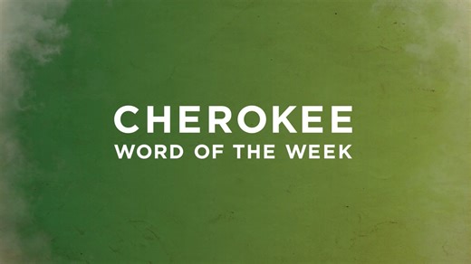 48K views · 2.4K reactions | Taking care of the next generation and ensuring that our traditions, customs and culture are passed on is of the utmost importance to the Cherokee people. It all starts with our children. Learn the Cherokee word for “baby” today! | Visit Cherokee Nation | Facebook