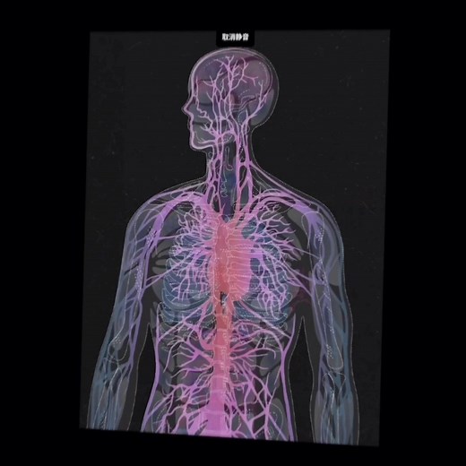 Neuroscience & Nervous System Explained: Quick Healthcare Edit