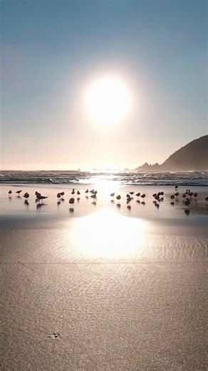 Sea, Ocean, Water. Free Stock Video