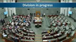 Australia's House of Representatives passes bill that would ban young children from social media