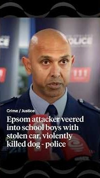 Epsom attacker veered into school boys with stolen car, violently killed dog - police | RNZ