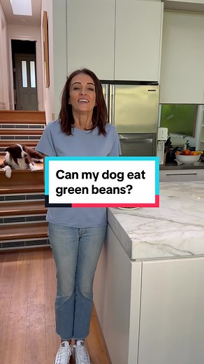 Can Dogs Safely Eat Green Beans? Understanding Benefits