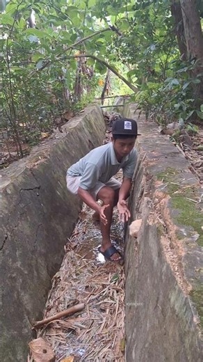 dapat hewan mini didalam lobang #shortviral #nature