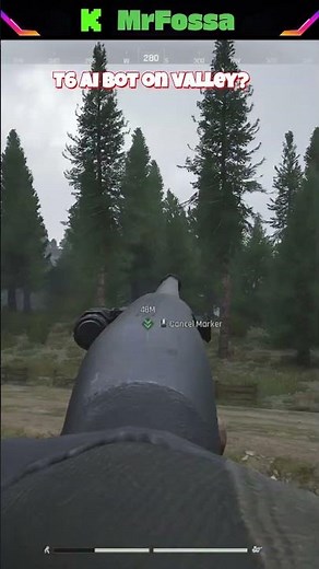 T6 ai bot on valley?