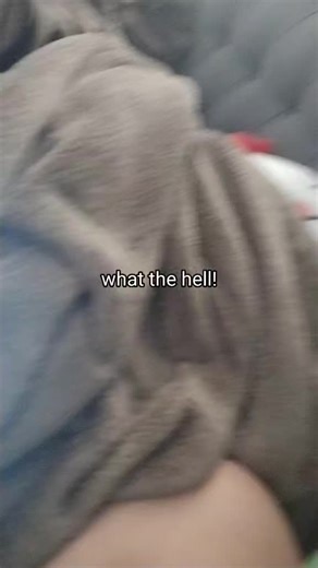 20th century Fox is back (@ilove20thcenturyfox)’s videos with original sound - Skibidi Rizz 2