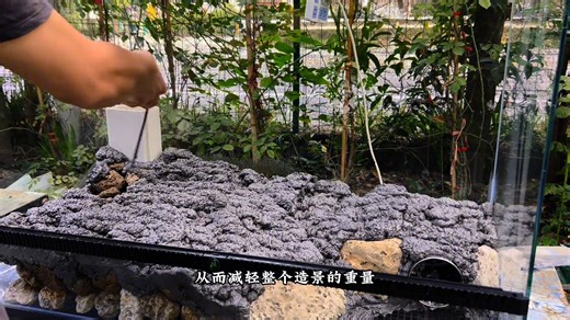 Watch this video to see how to create a custom rainforest eco-tank for your Yellow Margin Box Turtle. Perfect for turtle care and aquascaping enthusiasts! Tag a friend who would love to create their own turtle habitat. #YellowMarginBoxTurtle #TurtleTank #TurtleCare #Aquascaping #NatureInAquarium | Aquascape with Skynet