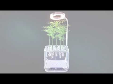 The World’s First Desktop Aeroponic Plant Ecosystem