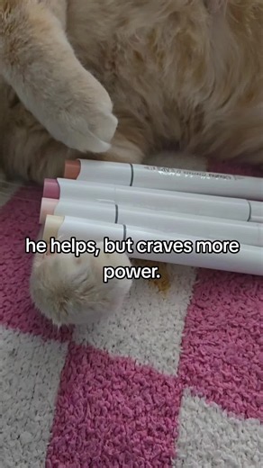 he craves more than this. #cat #art #markers #arttok #pet | art