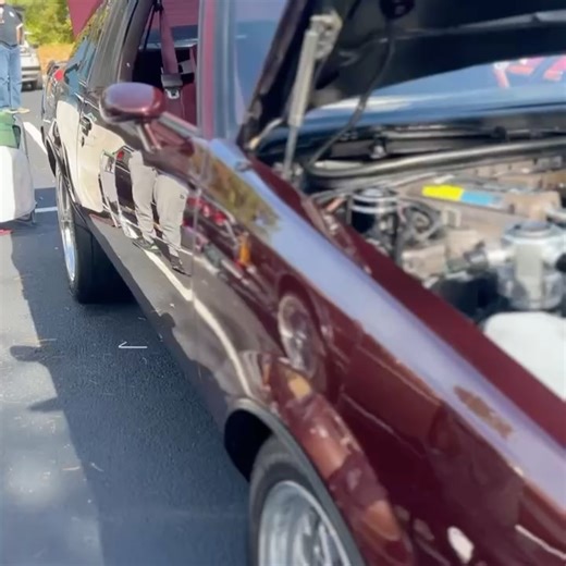 American Collectors Insurance on Reels