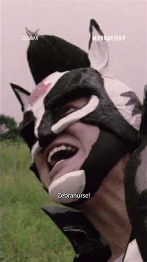 I also see Zebranurse in my dreams 🦓 #zebraman
