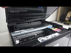 How to Check Serial Number on Epson XP6100