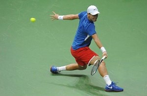 Berdych keeps Czech Davis Cup hopes alive