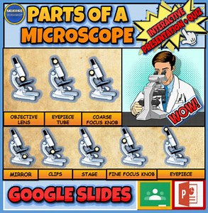 Parts Of A Microscope Powerpoint   Worksheet. How Do Microscopes Work?