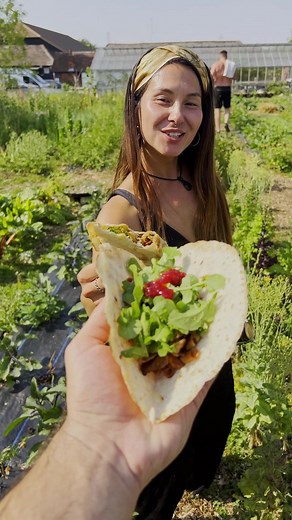 4.9K views · 16 reactions | Introduce your family or friends to the wonderful world of urban farming by giving the gift that keeps on giving: our Oyster Mushroom Growing Kits  | Urban.Farm.it | Facebook