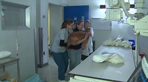 Dogs help design vaccines