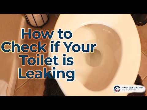 How to Check if Your Toilet is Leaking