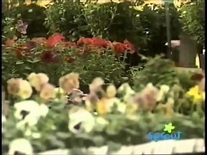 The Adventure screen to the plant store (Shawn & the Beanstalk!)