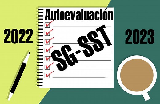 Reporte de la autoevaluación de estándares mínimos - FAQ