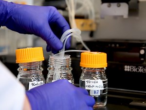 High-throughput Screening for Protein-based Inheritance in S. cerevisiae