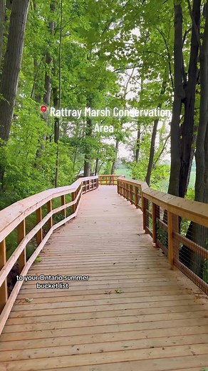 Explore Rattray Marsh Conservation Area in Mississauga