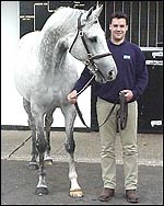 Inside the National Stud Stallion Unit - Horse & Hound