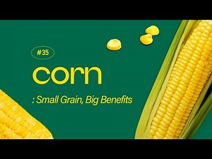 Corn: Small Grain, Big Benefits