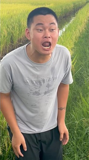 Thử thách cấm cười | ăn bông lúa ngoài đồng #memes