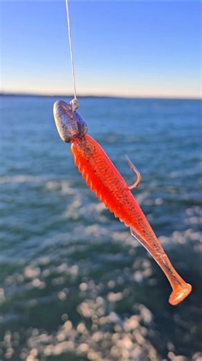 Jetty Casting for Fish Dinner #rockfishing #oregon #fishing