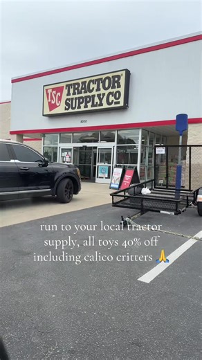 Calico Critters at Tractor Supply for $14.99 Each