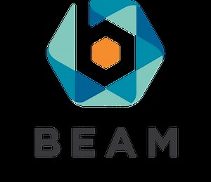 BEAM Mobile Video Capture Platform