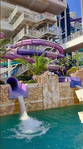 9-STORY SHARK SLIDE? 😱 Atlantis Aquaventure Dubai Full Experience!#shorts #viral