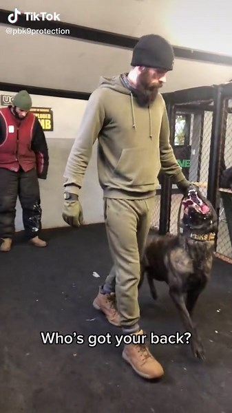 pbk9protection on TikTok